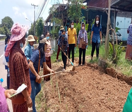 1หมู่บ้าน 1เส้นทางนี้มีผลผู้คนรักกัน บ้านโนนสมบูรณ์ หมู่ที่9 ตำบลโคกกลาง